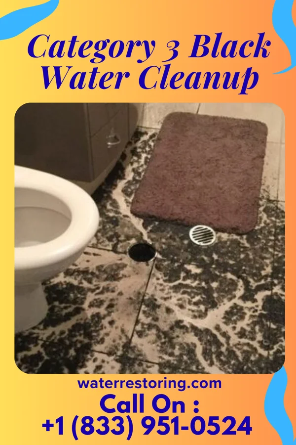 Category 3 Black Water Cleanup in Ansonville, NC
