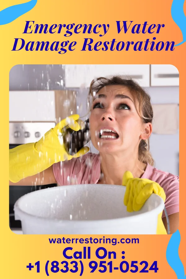 Emergency Water Damage Restoration in Ansonville, NC