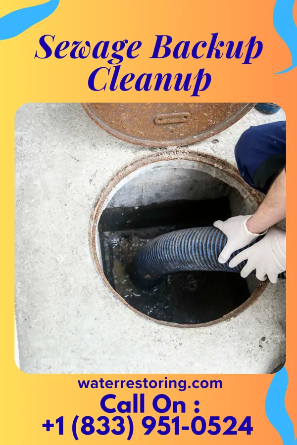 Sewage Backup Cleanup in Ansonville, NC