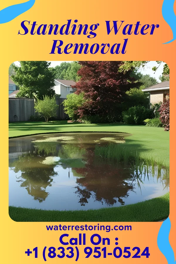 Standing Water Removal in Ansonville, NC
